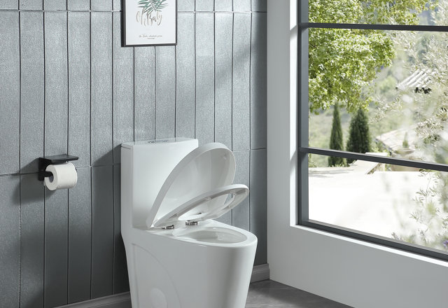 Special Offer: Toilets